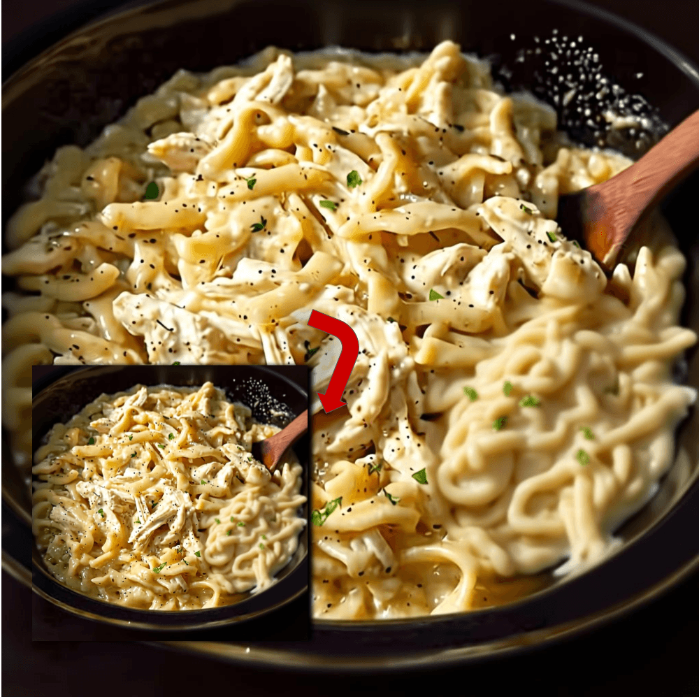 Creamy Slow Cooker Chicken Noodle Supper Recipe