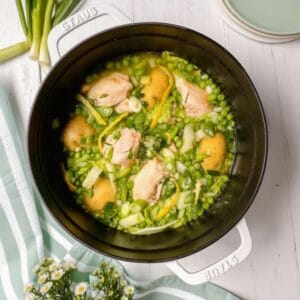 Easy Spring Chicken Stew Recipe (One-Pot)