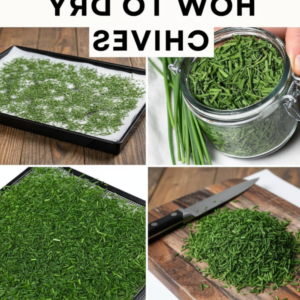 How to Dry Chives Perfectly at Home