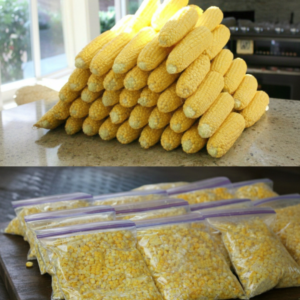 How to Preserve Summer Corn: The Ultimate Freezing Guide